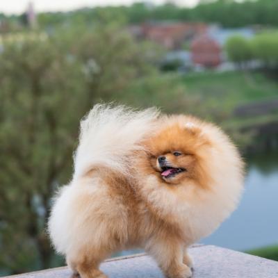 Dsc 4941
